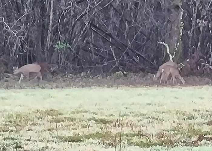Les Maisons De La Feuillade Semesterbostad *